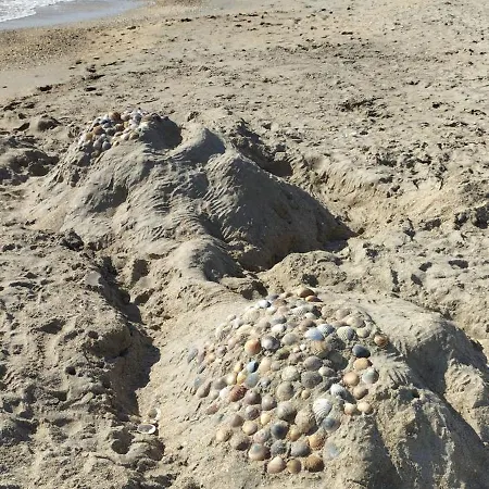 Avec Vue Pres Des Plages
